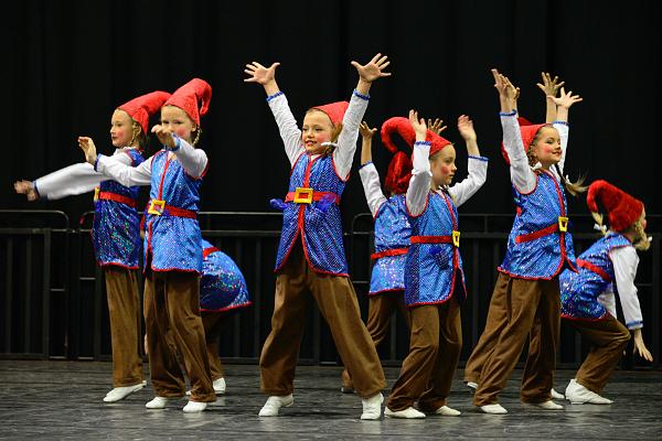 20151121Tanztunier der Karnevalisten __37.jpg - Sa. 21.11.2015,Hannover (Foto:Herbert Frost)